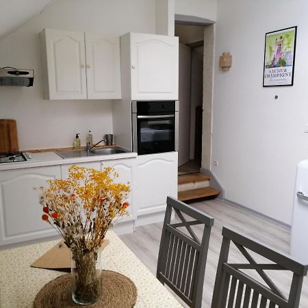 Bel Appt 3 Pieces, A L'Etage, Jardin Privatif, Au Calme, 10 Mn Saumur Et Cnpe Varennes-sur-Loire Dış mekan fotoğraf