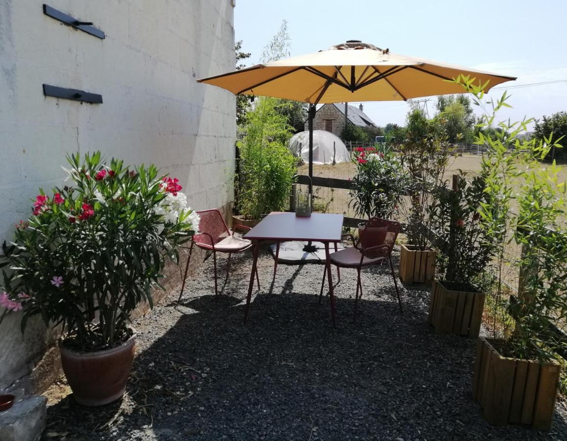 Bel Appt 3 Pieces, A L'Etage, Jardin Privatif, Au Calme, 10 Mn Saumur Et Cnpe Varennes-sur-Loire Dış mekan fotoğraf