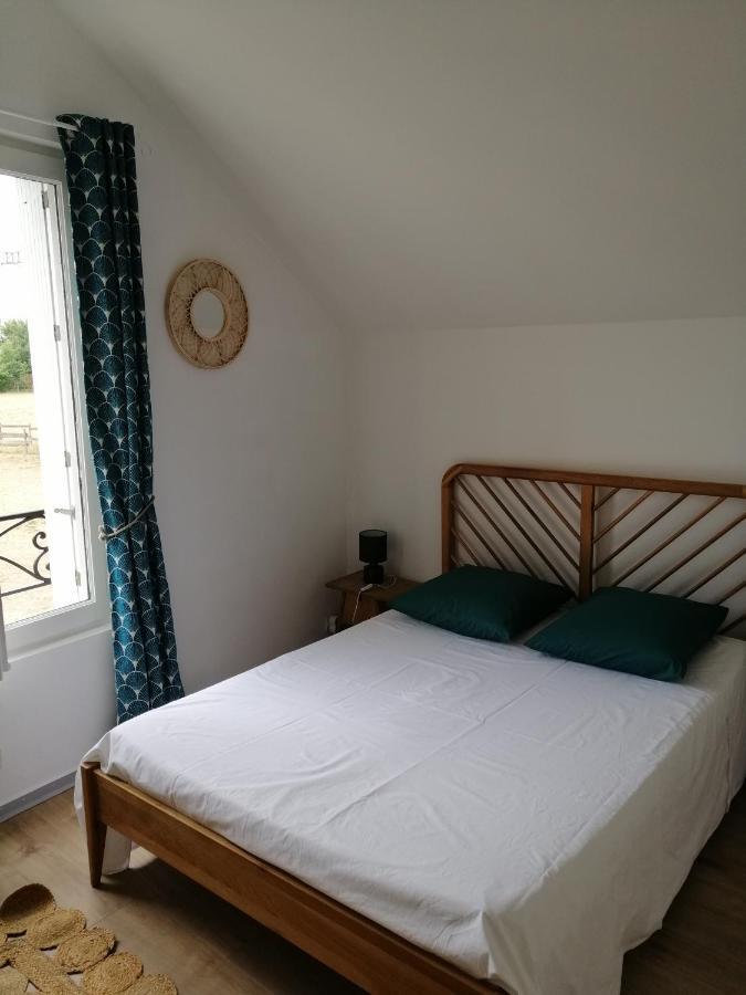Bel Appt 3 Pieces, A L'Etage, Jardin Privatif, Au Calme, 10 Mn Saumur Et Cnpe Varennes-sur-Loire Dış mekan fotoğraf
